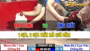 TRẬN 34 CPC2 22/11/2024: ANH BẢO STING VS ÔNG THẦY