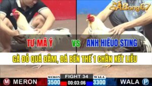 TRẬN 34 CPC2 24/11/2024: ANH TƯ MÃ Ý VS ANH HIẾU