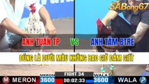 TRẬN 34 CPC3 13/11/2024 : ANH TUẤN TP VS ANH TÂM BẾN TRE