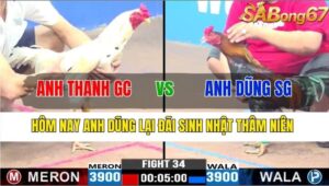 TRẬN 34 CPC3 17/11/2024 : ANH THANH GÒ CÔNG VS ANH DŨNG SÀI GÒN