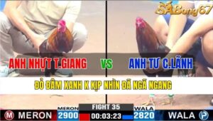 TRẬN 35 CPC3 16/11/2024 : ANH NHỰT TIỀN GIANG VS ANH TƯ CAO LÃNH