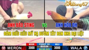 TRẬN 35 CPC3 19/11/2024 : ANH BẢO STING VS ANH HÒA ĐỨC HÒA