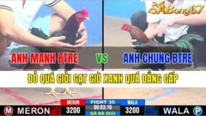 TRẬN 35 CPC3 25/11/2024 : ANH MẠNH BẾN TRE VS ANH CHUNG BẾN TRE