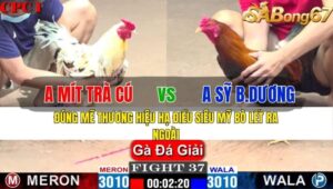 TRẬN 37 CPC1 14/11/2024 : ANH MÍT TRÀ CÚ VS ANH SỸ BÌNH DƯƠNG