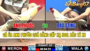 TRẬN 37 CPC2 24/11/2024: ANH PHƯỚC ĐT VS ANH BẢO STING