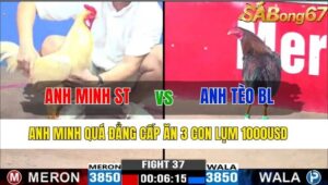 TRẬN 37 CPC3 15/11/2024 : ANH MINH SÓC TRĂNG VS ANH TÈO BẢO LỘC