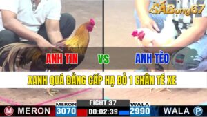 TRẬN 37 CPC3 21/11/2024 : ANH TIN ĐH VS ANH TÈO BẾN TRE