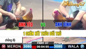 TRẬN 37 CPC3 22/11/2024: ANH TÈO BẢO LỘC VS ANH BÌNH SG