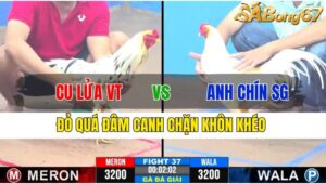 TRẬN 37 CPC3 25/11/2024 : ANH CU LỬA VŨNG TÀU VS ANH CHÍN SÀI GÒN