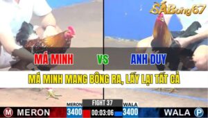 TRẬN 37 CPC3 26/11/2024 : MÁ MINH VS ANH DUY