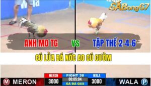 TRẬN 38 CPC3 19/11/2024 : ANH MO TIỀN GIANG VS TẬP THỂ 2-4-6