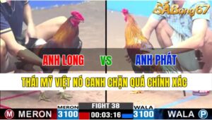 TRẬN 38 CPC3 21/11/2024: ANH LONG GÒ MÂY VS ANH PHÁT TV