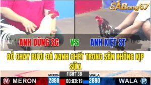 TRẬN 38 CPC3 26/11/2024 : ANH DŨNG SÀI GÒN VS ANH KIỆT SÓC TRĂNG