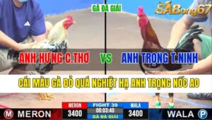 TRẬN 39 CPC3 09/11/2024 : ANH HƯNG CẦN THƠ VS ANH TRỌNG TÂY NINH