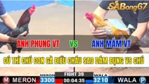 TRẬN 39 CPC3 18/11/2024 : ANH PHỤNG VŨNG TÀU VS ANH MẮM VŨNG TÀU