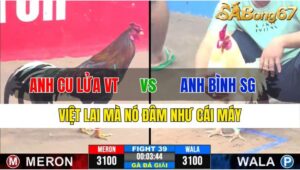 TRẬN 39 CPC3 25/11/2024 : ANH CU LỬA VŨNG TÀU VS ANH BÌNH SÀI GÒN