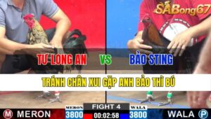 TRẬN 4 CPC2 13/11/2024 : TƯ LONG AN VS BẢO STING