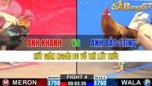 TRẬN 4 CPC2 15/11/2024 : ANH KHANH VS ANH BẢO STING