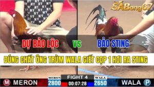 TRẬN 4 CPC2 24/11/2024: ANH DỰ BẢO LỘC VS ANH BẢO STING