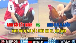 TRẬN 4 CPC3 03/11/2024: ANH CÒ TÂY NINH VS ANH HAI HM