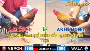 TRẬN 4 CPC3 04/11/2024 : ANH HIẾU SÀI GÒN VS ANH CHUNG