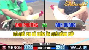 TRẬN 40 CPC3 21/11/2024: ANH PHƯƠNG CỦ CHI VS ANH QUANG CT