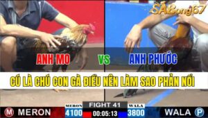 TRẬN 41 CPC2 24/11/2024: ANH MO TG VS ANH PHƯỚC