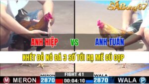 TRẬN 41 CPC3 21/11/2024: ANH HIỆP L.AN VS ANH TUẤN TG