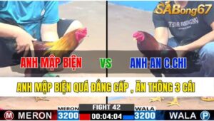 TRẬN 42 CPC3 18/11/2024 : ANH MẬP BIỆN VS ANH AN CỦ CHI