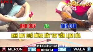 TRẬN 43 CPC1 21/11/2024: ANH DUY VS ANH ĐEN