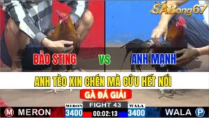 TRẬN 43 CPC2 24/11/2024: ANH BẢO STING VS ANH MẠNH VT