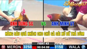 TRẬN 43 CPC3 07/11/2024 : ANH DŨNG SÀI GÒN VS ANH MINH VŨNG TÀU