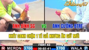 TRẬN 43 CPC3 18/11/2024 : ANH BÌNH SÀI GÒN VS ANH CƯỜNG BẾN TRE