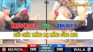 TRẬN 43 CPC3 19/11/2024 : ANH SƠN SÀI GÒN B VS ANH HUY B