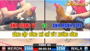 TRẬN 43 CPC3 25/11/2024 : ANH QUANG VŨNG TÀU VS ANH MẠNH BẾN TRE