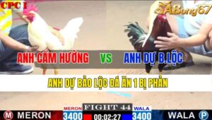 TRẬN 44 CPC1 07/11/2024 : ANH CẦM HƯỜNG VS ANH DỰ BẢO LỘC