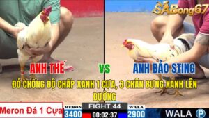 TRẬN 44 CPC2 03/11/2024 : ANH THẾ VS ANH BẢO STING