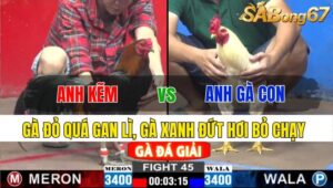 TRẬN 45 CPC2 24/11/2024: ANH KẼM VS ANH GÀ CON