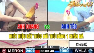 TRẬN 45 CPC3 21/11/2024: ANH QUANG CT VS ANH TÈO BTRE