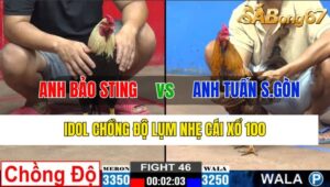 TRẬN 46 CPC2 06/11/2024 : ANH BẢO STING VS ANH TUẤN SÀI GÒN