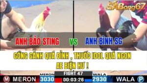 TRẬN 47 CPC3 19/11/2024 : ANH BẢO STING VS ANH BÌNH SÀI GÒN