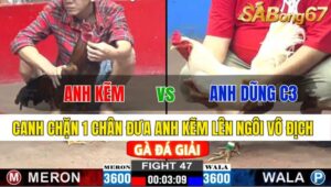 TRẬN 47 CPC2 24/11/2024: ANH KẼM VĨNH CHÂU VS ANH DŨNG C3