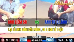 TRẬN 48 CPC3 16/11/2024 : ANH LIÊM SẦU RIÊNG VS ANH TƯ CAO LÃNH