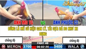 TRẬN 48 CPC3 17/11/2024 : ANH MO TIỀN GIANG VS ANH PHƯỚC CẦN THƠ