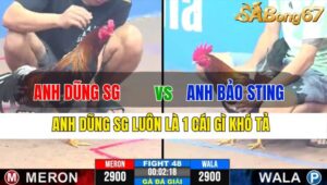 TRẬN 48 CPC3 19/11/2024 : ANH DŨNG SÀI GÒN VS ANH BẢO STING