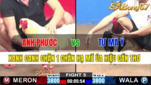 TRẬN 5 CPC2 24/11/2024: ANH PHƯỚC CT VS ANH TƯ MÃ Ý