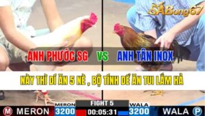 TRẬN 5 CPC3 05/11/2024 : ANH PHƯỚC SÀI GÒN VS ANH TÂN INOX