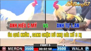 TRẬN 5 CPC3 25/11/2024 : ANH HIẾU CẨM MỸ VS ANH TƯ LONG AN