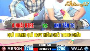 TRẬN 50 CPC3 19/11/2024 : ANH NHÁI BẾN TRE VS ANH TÂN TIỀN GIANG