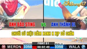 TRẬN 51 CPC3 19/11/2024 : ANH BẢO STING VS ANH THÀNH BẢO LỘC